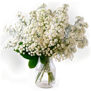 Fresh Baby's Breath Arrangement Png 06212024 PNG image