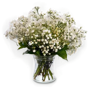 Fresh Baby's Breath Arrangement Png 06212024 PNG image