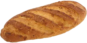 Fresh Baked Loafof Bread PNG image