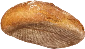 Fresh Baked Loafof Bread PNG image