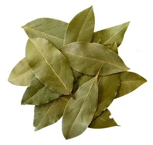 Fresh Bay Leaves Isolatedon Black Background PNG