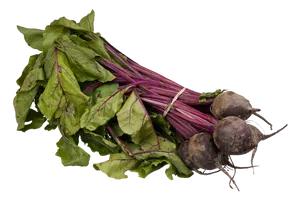 Fresh Beetroot Bunchwith Leaves PNG image