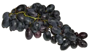 Fresh Black Grapes Cluster.jpg PNG image