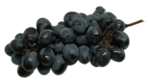 Fresh Black Grapes Cluster.png PNG image