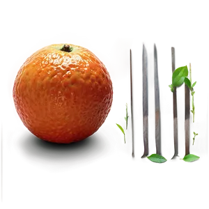 Fresh Blood Orange PNG Bbc25 PNG