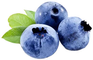 Fresh Blueberries With Leaves Skin Care Ingredients PNG image