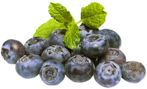 Fresh Blueberrieswith Mint Leaves PNG image