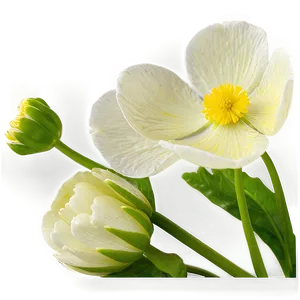 Fresh Buttercup PNG Mdo98 PNG
