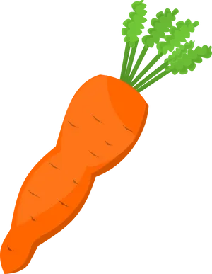 Fresh Carrot Illustration.png PNG image