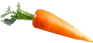 Fresh Carrot Isolated Image PNG image