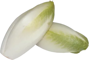 Fresh Chicory Endive Vegetable