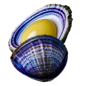 Fresh Clam Png Trl PNG image