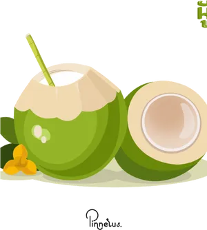 Fresh Coconut Drink Illustration PNG image