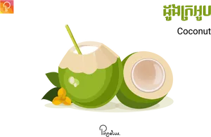 Fresh Coconut Drink Vector Illustration PNG image