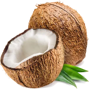 Fresh Coconut Half Transparent Background
