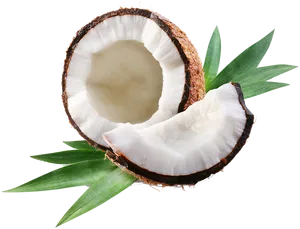 Fresh Coconut Halfwith Green Leaves