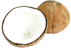 Fresh Coconut Halves