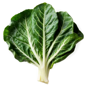 Fresh Collard Greens Png 06252024 PNG image