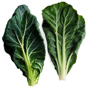 Fresh Collard Greens Png 06252024 PNG image