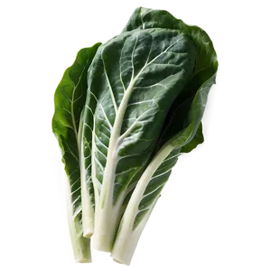 Fresh Collard Greens Png Dqe PNG image