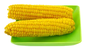Fresh Corn Cobson Green Tray PNG image