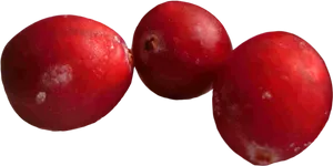Fresh Cranberries Closeup.png PNG image
