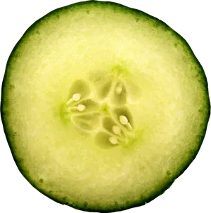 Fresh Cucumber Slice Macro PNG image