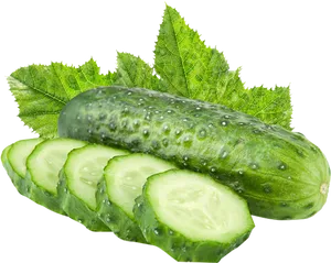 Fresh Cucumberand Sliceswith Leaves.png PNG image