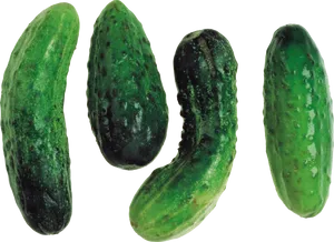 Fresh Cucumbers Isolated