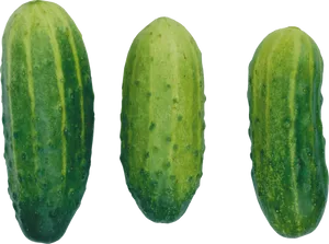 Fresh Cucumbers Isolatedon Transparent Background PNG image