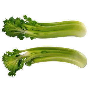Fresh Cut Celery PNG 06252024 PNG