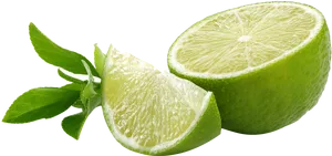 Fresh Cut Limewith Leaves