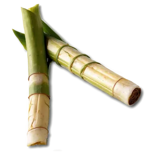 Fresh Cut Sugarcane Selection PNG 06262024 PNG