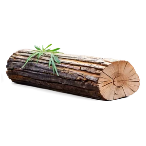 Fresh Cut Wood Log PNG Bnq