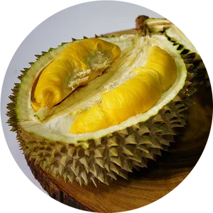 Fresh Durian Fruit Halved PNG image