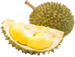 Fresh Durian Fruit Opened PNG image