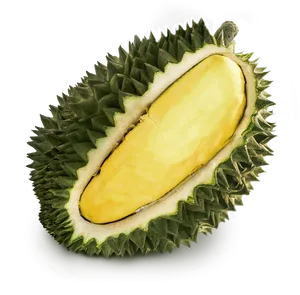 Fresh Durian Fruit Slice.png PNG image