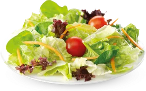 Fresh Garden Salad Plate PNG image