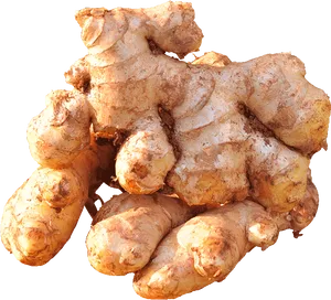 Fresh Ginger Root Cluster.png PNG image