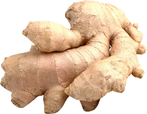 Fresh Ginger Root PNG image
