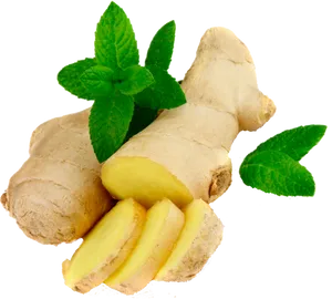 Fresh Ginger Rootwith Mint Leaves PNG image