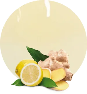 Fresh Gingerand Lemon Slices PNG image