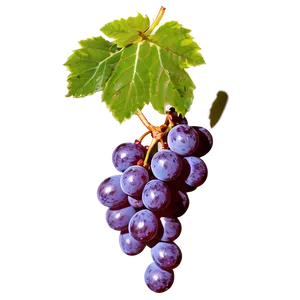 Fresh Grape Image Png Imf62 PNG image