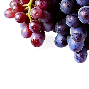 Fresh Grapes Png 22 PNG image