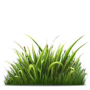 Fresh Grass Clipart Png 06272024 PNG image