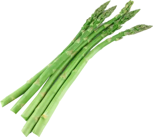 Fresh Green Asparagus Bunch.png PNG