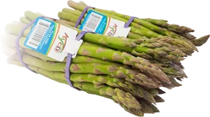 Fresh Green Asparagus Bunches PNG image