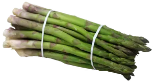 Fresh Green Asparagus Bundle PNG