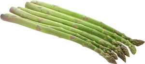 Fresh Green Asparagus Bundle.png PNG