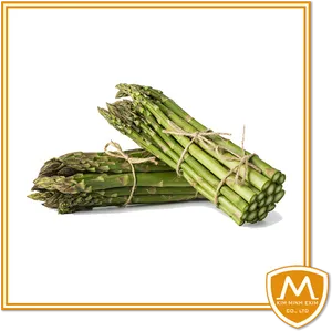 Fresh Green Asparagus Bundles PNG